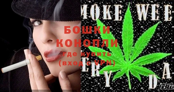 spice Пестово