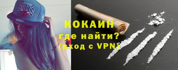 винт Пересвет