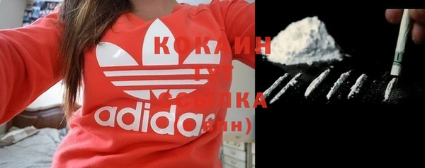 мдпв Осташков