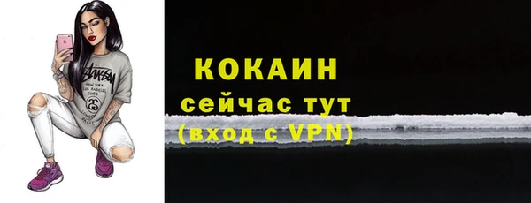 дурь Грязовец
