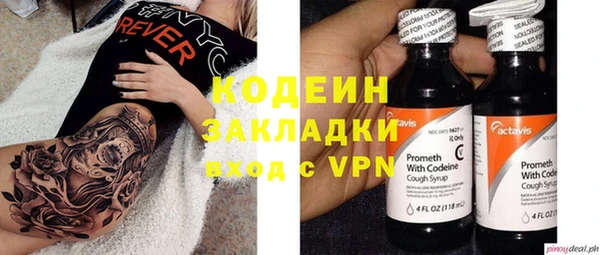 мдпв Осташков