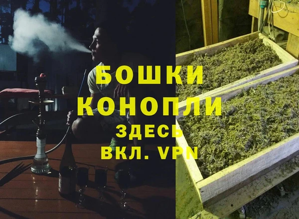 винт Пересвет