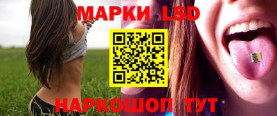 стафф Донецк