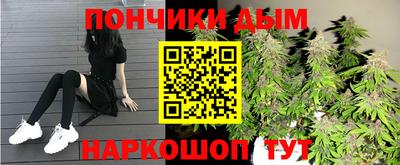 PSILOCYBIN Бийск