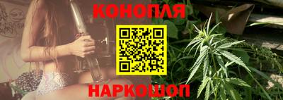 стафф Донецк