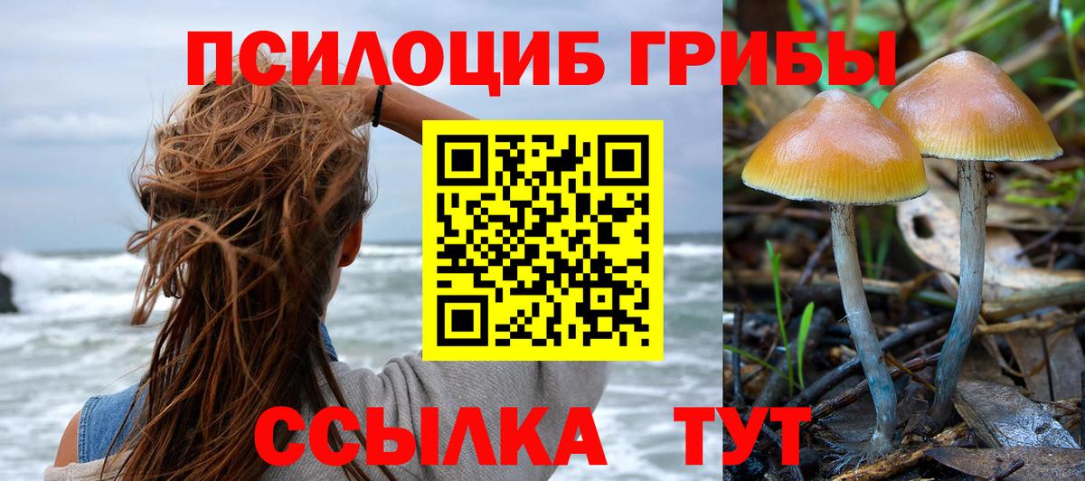 Псилоцибиновые грибы Cubensis  Лангепас  Галлюциногенные грибы GOLDEN TEACHER 